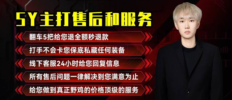SY 主打售后和服务